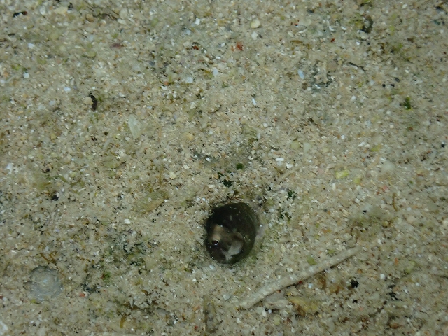P1214667.jpg