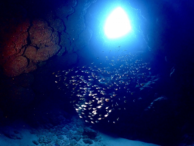 S__68141064.jpg