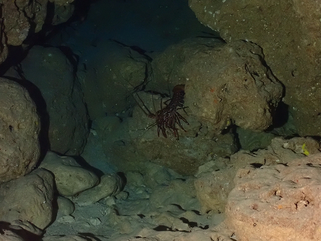 P2104743.jpg