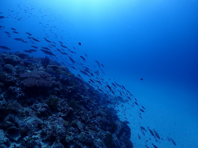 P2104834.jpg