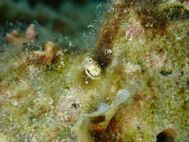 P1214658.jpg